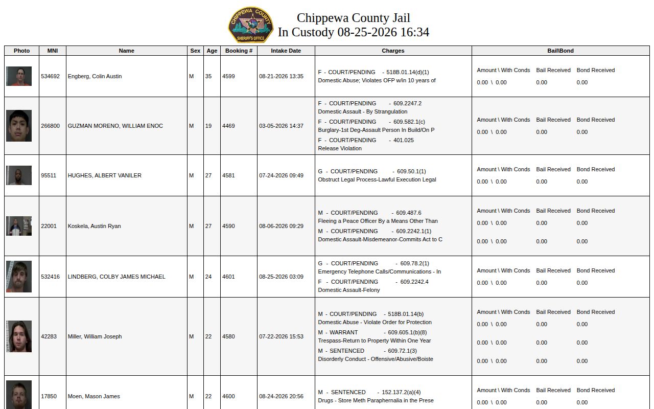 Chippewa County current-custody roster with booking record fields